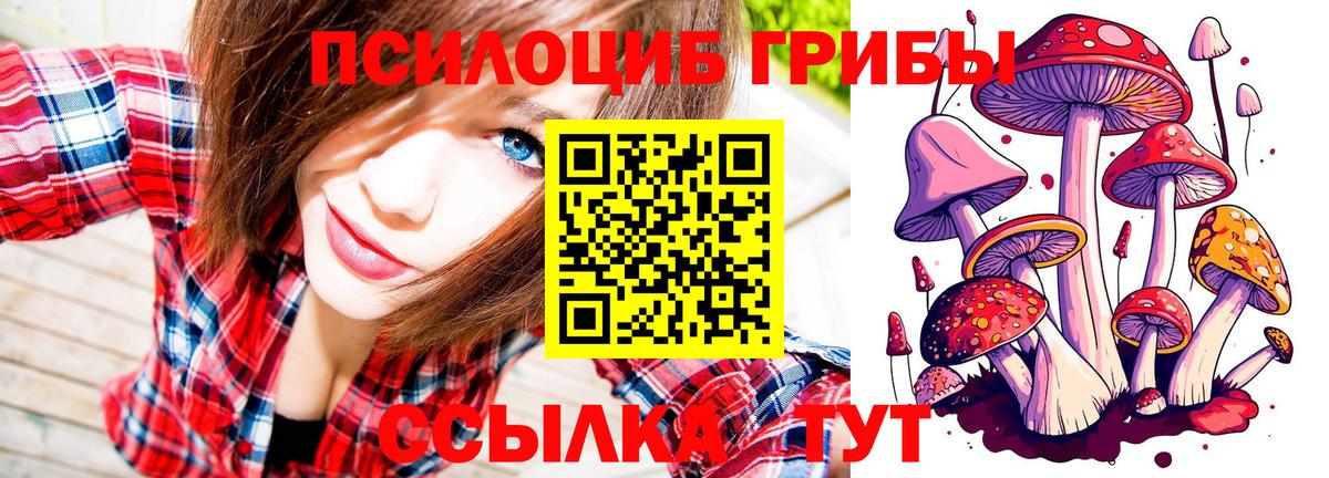 Галлюциногенные грибы Psilocybine cubensis Владивосток