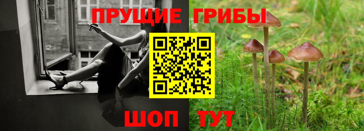 Владивосток  Галлюциногенные грибы Psilocybine cubensis  Вход с VPN  Галлюциногенные грибы прущие грибы 
